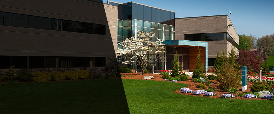 Ellwood City Landscapers