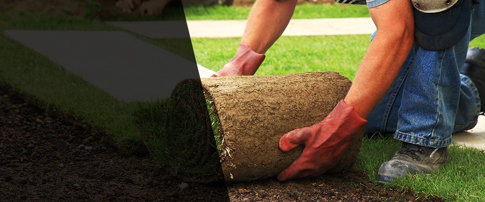 Ellwood City Landscapers